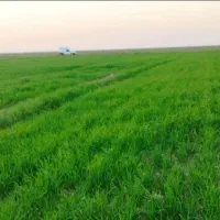 فروش-زمین-کشاورزی