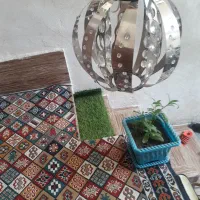 لوستر تکی سالم|لوستر و چراغ آویز|قائم‌شهر, |دیوار