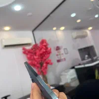 ۱۲ پرومکس آبی یخی