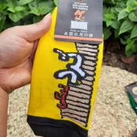 جوراب نوستالژی ساقه طلایی|لباس|رشت, هلال احمر|دیوار