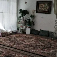 آپارتمان ۷۵متری  تخلیه واقع در شهرک حکیمیه|اجارهٔ آپارتمان|تهران, حکیمیه|دیوار