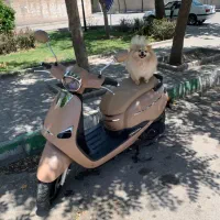 وسپا رنگ خواس