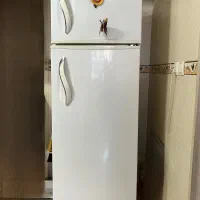 یخچال فریزر سونیا