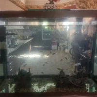 سلام آکواریوم فروشی