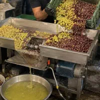 غوره داری xانگور داریxدستگاه آبگیریش رو پیدا کردی|ماشینآلات صنعتی|تهران, شهرک صدرا|دیوار