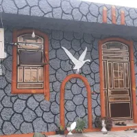 نقاشی ساختمان و رنگ آمیزی درب و پنجره|خدمات پیشه و مهارت|بوشهر, |دیوار