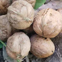 کیلو 600تا700
