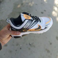 کفش اسپرت|کیف، کفش، کمربند|سرپل ذهاب, |دیوار