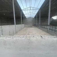 اجاره سوله برای دامداری گوسفند یا گاو|اجارهٔ دفتر صنعتی، کشاورزی، تجاری|رباط‌کریم, انجم آباد|دیوار