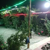 گل کاری تعویض گلدان مرتب کردن باغچه حیاط|خدمات باغبانی و درختکاری|مشهد, کشاورز|دیوار
