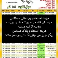 پرنده پلاکی