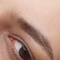 مدل فیبروز ابرو و خط چشم|خدمات آرایشگری و زیبایی|گنبد کاووس, |دیوار