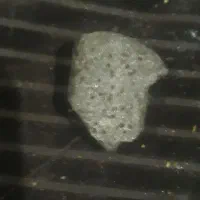 فروش سنگهای قیمتی سه عدد سنگ اسیاب و یک شهاب سنگ|کلکسیون اشیاء عتیقه|مبارکه, |دیوار