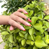 تخفیف خدمات کاشت ناخن ۳۰۰ و آموزش فقط به مدت محدود