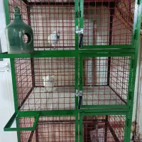 جفت کن کبوتر