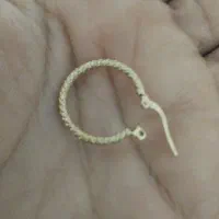 گوشواره گم شده