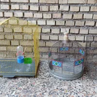 ۳ عدد قفس پرنده