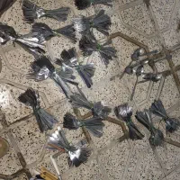 فروش چنگال|ظروف سرو و پذیرایی|مشهد, کارگران|دیوار