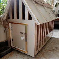 سگ پانامرا|سگ|جوین, |دیوار