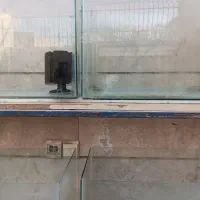 آکواریوم وپایه|ماهی|برخوار, |دیوار