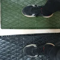 سینی نشا  برنج باکس نشا عزیزپور هیدروپونیک