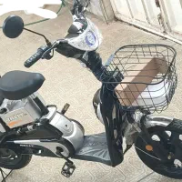 موتور برقی رایلی