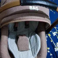 کریر نو  دو بار استفاده شده|کالسکه و لوازم جانبی|قدس, شهر‌قدس|دیوار