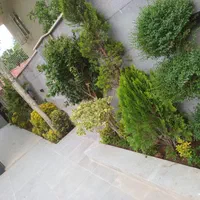 مجتمع گل و گیاه و نهالستان خیری واقع در هشتگرد|خدمات باغبانی و درختکاری|هشتگرد, هشتگرد قدیم|دیوار
