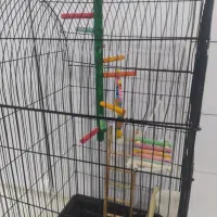 قفس طوطی بزرگ