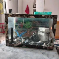 آکواریوم سالم