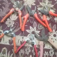 سلام قیچی ارس|ابزارآلات|نگین شهر, |دیوار