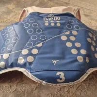 وسایل تکواندو