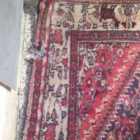 قالی دست بافت|فرش|قم, علی آباد سعدگان|دیوار