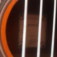 گیتار پارسیm6