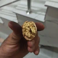 گردوی محلی پرچرب خوش طعم سفید ..