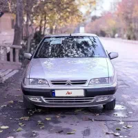 زانتیا خانگی در حد صفر