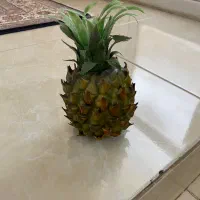 میوه های مصنوعی خارجی وگل پشت دری|صنایع دستی و سایر لوازم تزئینی|تهران, کیانشهر|دیوار