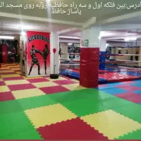 استخدام مربی حرفه ای