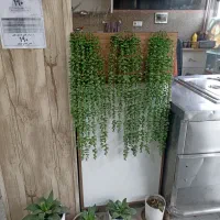 میز پیشخوان ام دی اف|کافی‌شاپ و رستوران|الوند, |دیوار