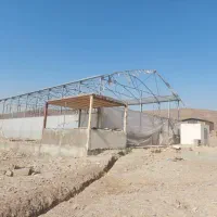 ۵۰۰ متر چهار دیواری مجوز گلخانه در خاوران|فروش دفتر صنعتی، کشاورزی، تجاری|خاوران, |دیوار