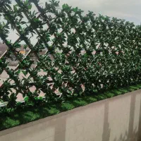 حفاظ برگی زیبا