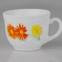 فنجان و نعلبکی