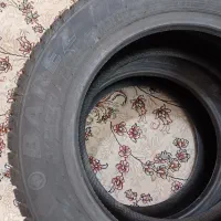 لاستیک بارز ساینا