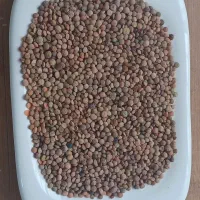 رب گوجه و انواع محصولات|فعالیت داوطلبانه|شیراز, شهرک مهدی‌آباد|دیوار