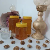 عسل طبیعی|عمده‌فروشی|لاهیجان, طالقانی|دیوار