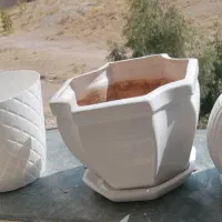 گلدان|گل و گیاه طبیعی|صدرا-فارس, فاز ۱|دیوار