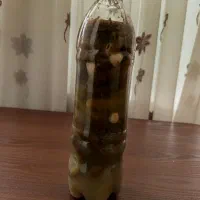 خیارشور خونگی