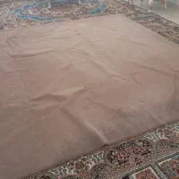 موکت پالاز|موکت|کرمانشاه, |دیوار