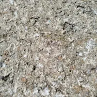 فضله زل کفتر کبوتر