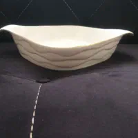 ظروف سرو لمونژ